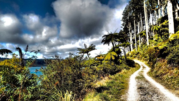 A Place To Walk, A Space To Think