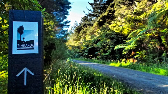 The Long Pathway - My back yard and where the magic happens!