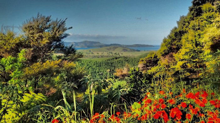 The TA offers stunning views across the beautiful Bay of Islands