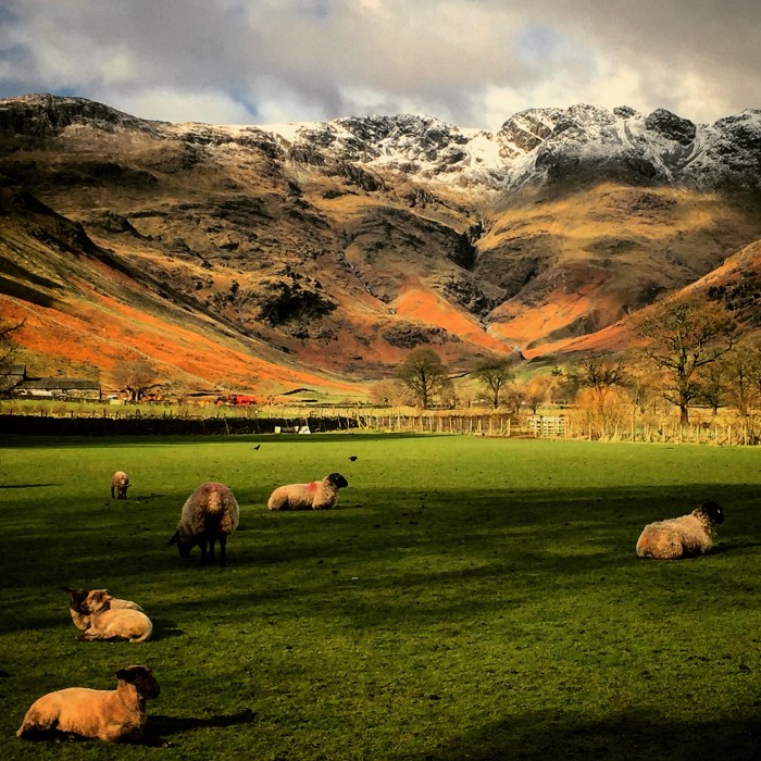 Great Langdale